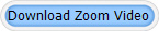 Download Zoom Video
